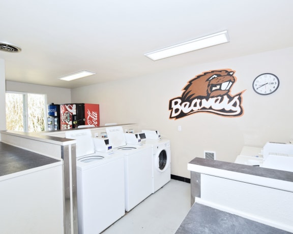 Photo Gallery Image
