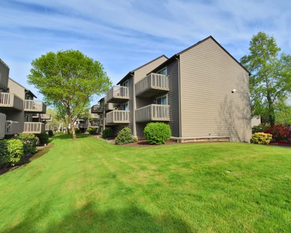 Photo Gallery Image