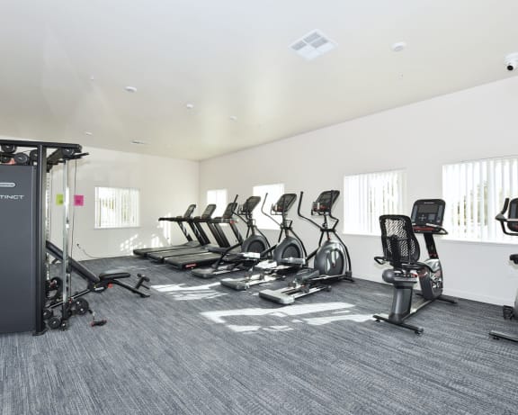 Photo Gallery Image