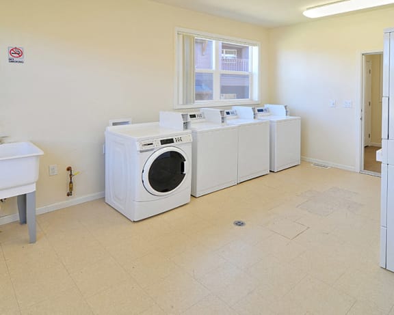 Photo Gallery Image