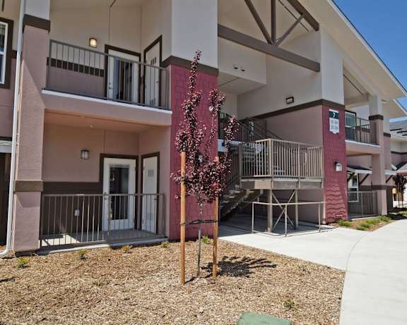 Photo Gallery Image