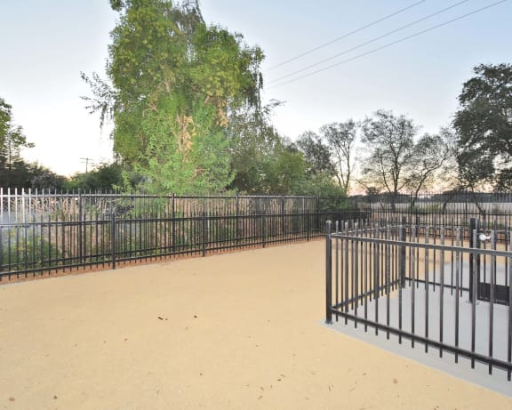 Photo Gallery Image