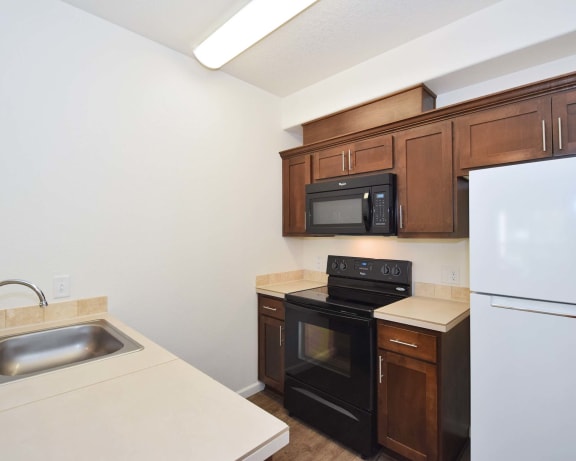 Photo Gallery Image