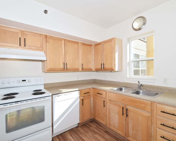Photo Gallery Image