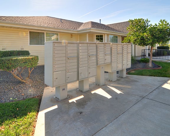Photo Gallery Image