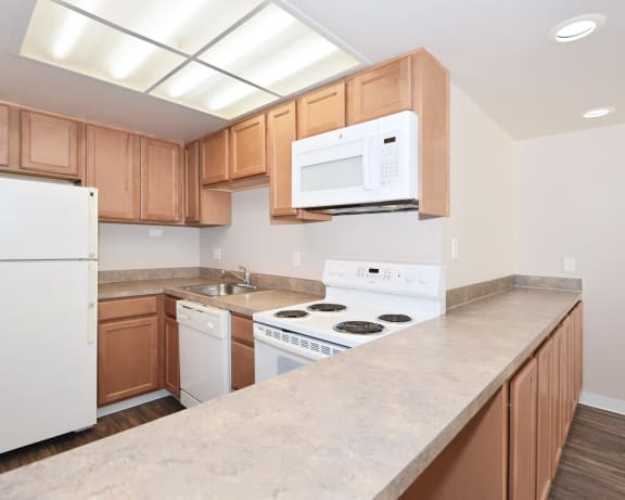 Photo Gallery Image