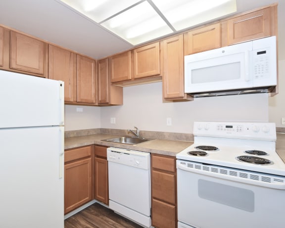 Photo Gallery Image
