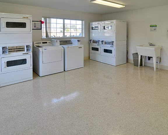 Photo Gallery Image