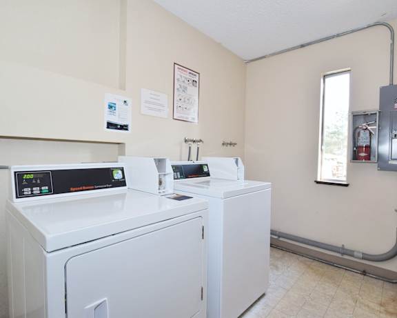 Photo Gallery Image