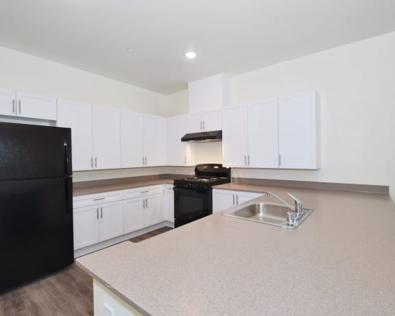Photo Gallery Image