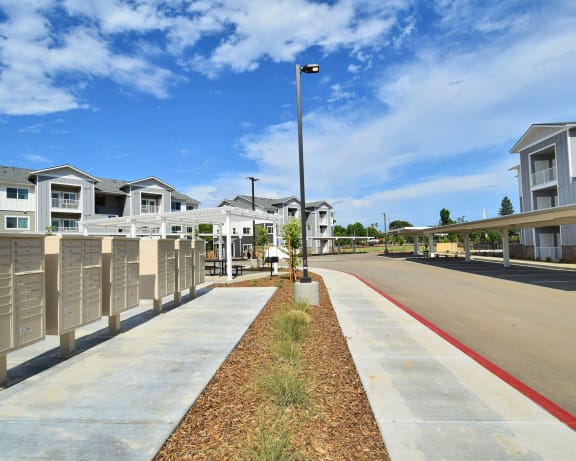 Photo Gallery Image