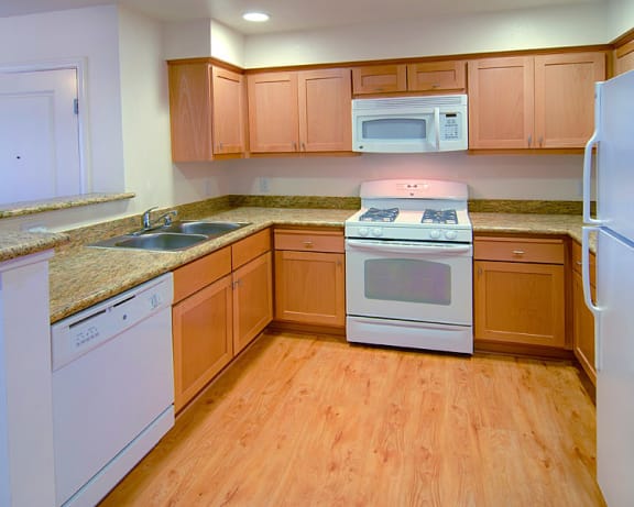 Photo Gallery Image