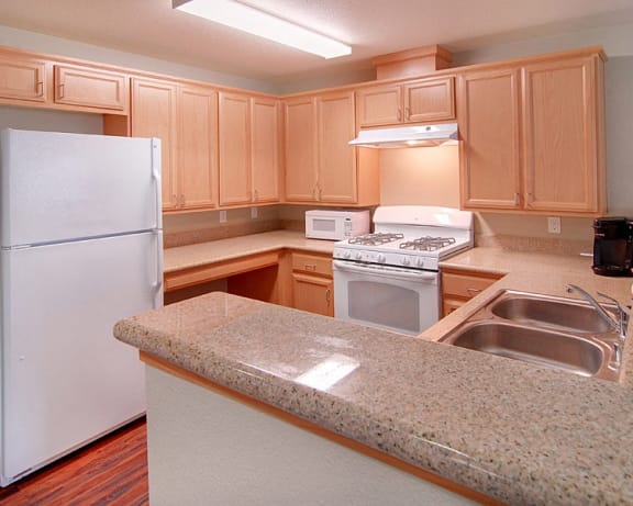 Photo Gallery Image