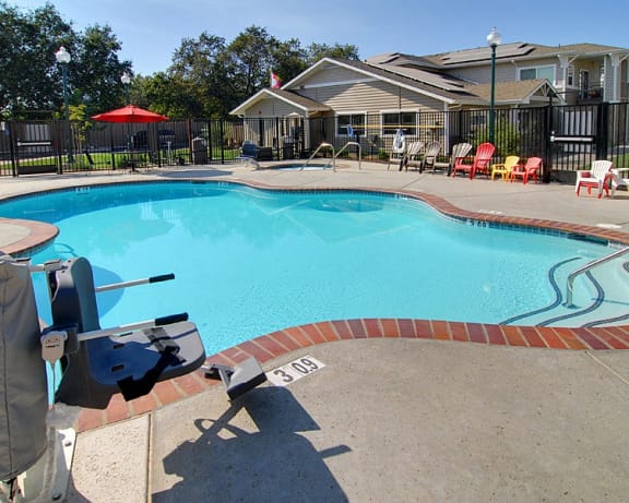 Photo Gallery Image