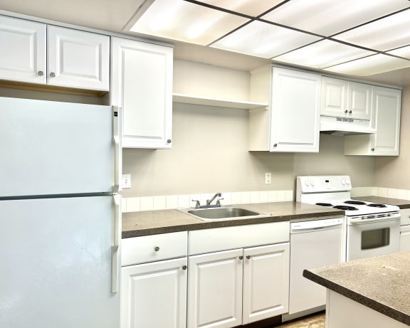 Photo Gallery Image