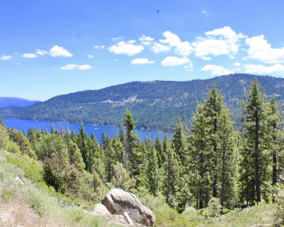Photo Gallery Image