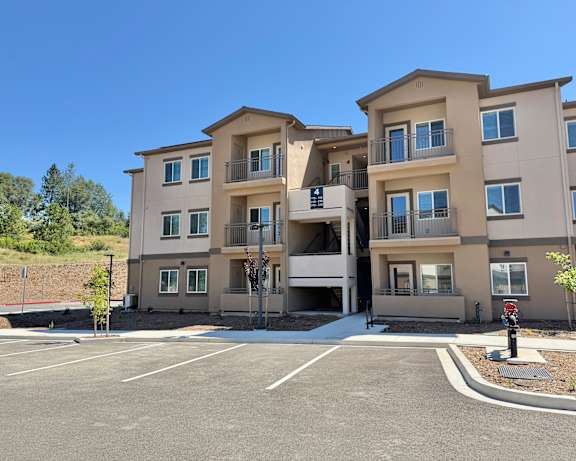 Photo Gallery Image