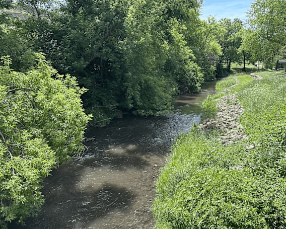 Photo Gallery Image
