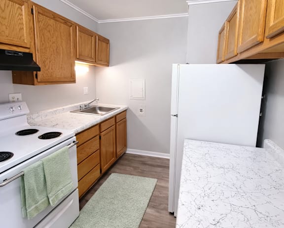 Photo Gallery Image
