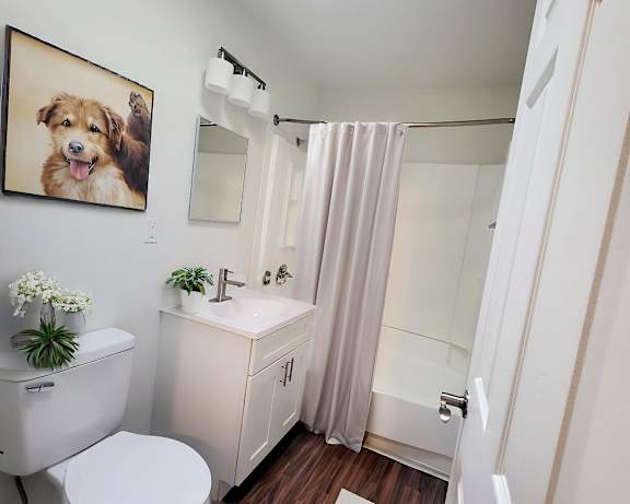 Photo Gallery Image