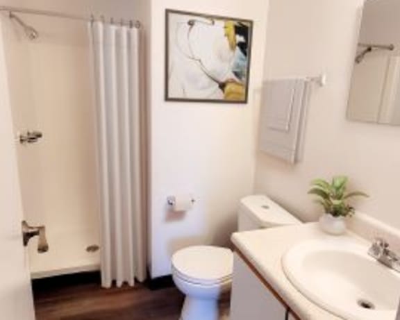 Photo Gallery Image