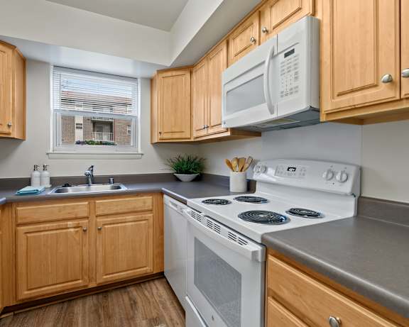 Photo Gallery Image