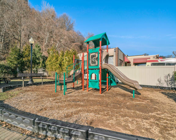 Photo Gallery Image