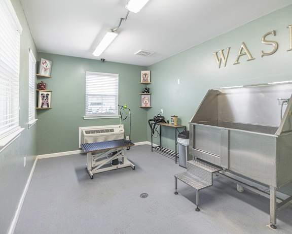 Photo Gallery Image