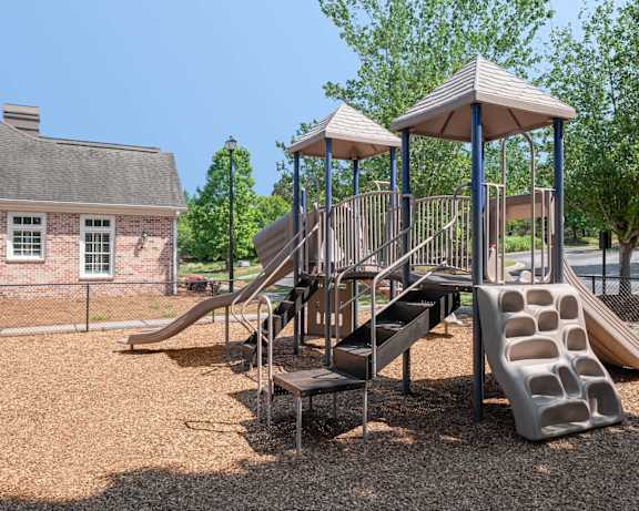 Photo Gallery Image
