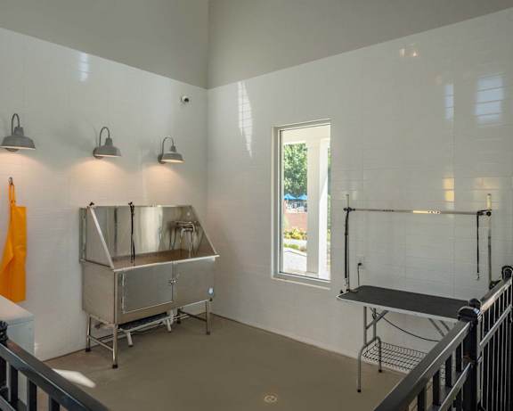 Photo Gallery Image
