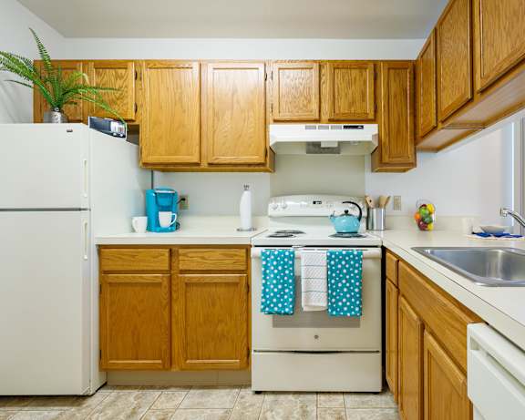 Photo Gallery Image
