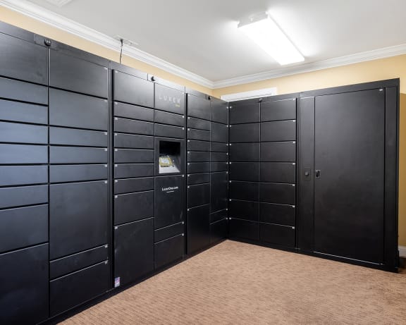 Photo Gallery Image