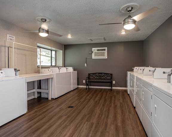 Photo Gallery Image