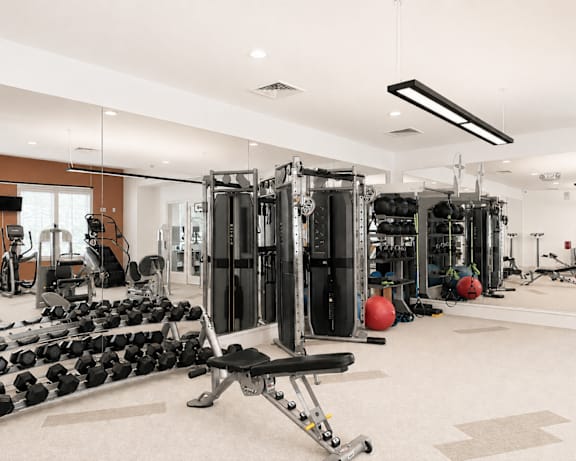 Photo Gallery Image
