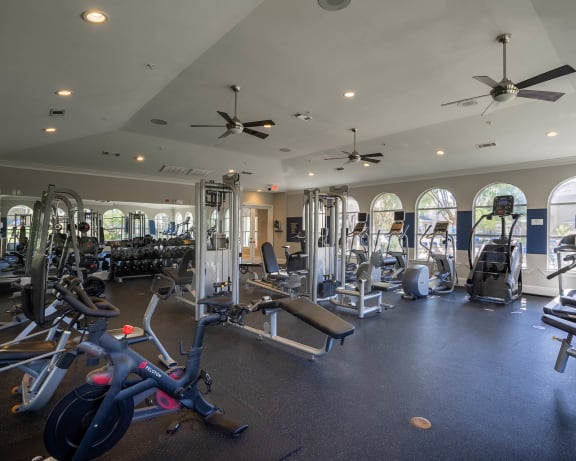 Photo Gallery Image