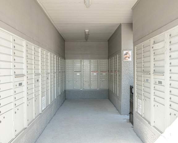 Photo Gallery Image