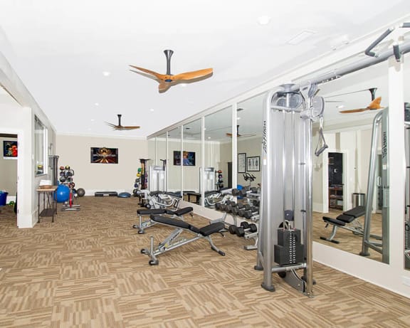 Photo Gallery Image