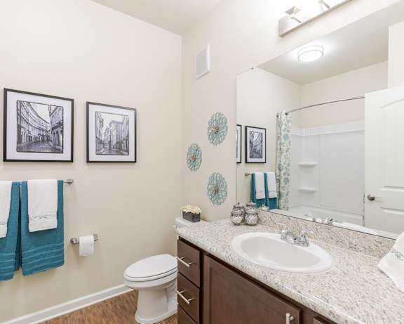 Photo Gallery Image