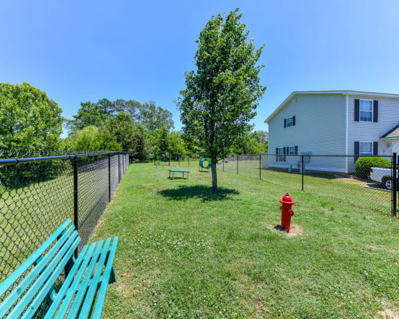 Photo Gallery Image