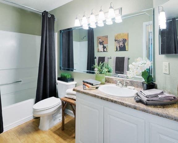 Photo Gallery Image