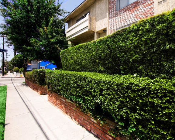 Photo Gallery Image