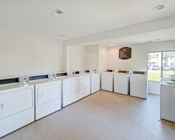 Photo Gallery Image