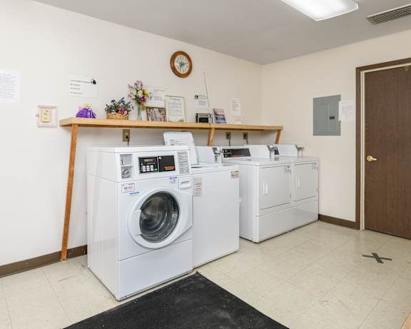 Photo Gallery Image