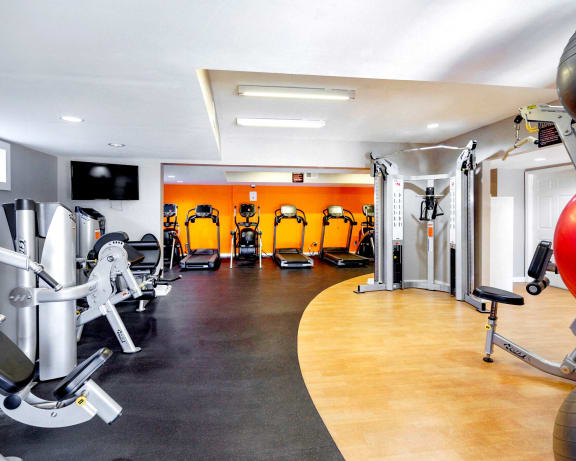 Photo Gallery Image