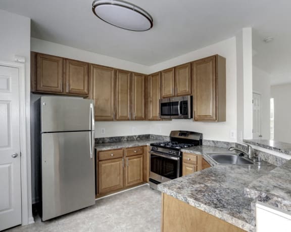 Photo Gallery Image