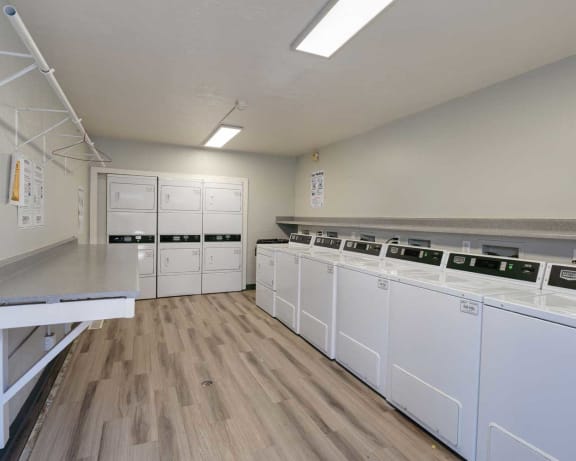 Photo Gallery Image