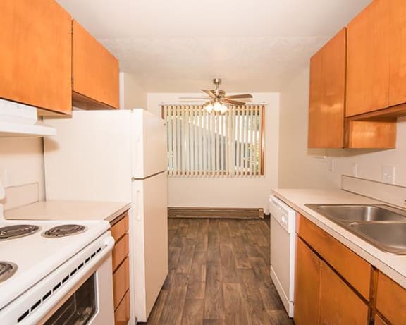 Photo Gallery Image