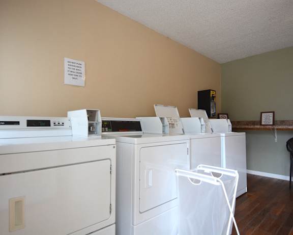 Photo Gallery Image