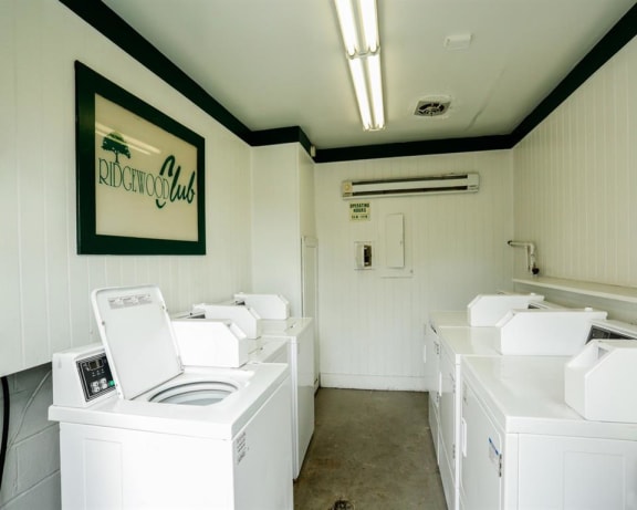 Photo Gallery Image