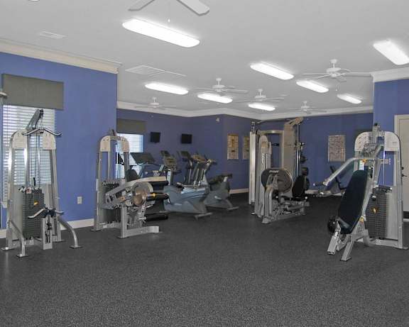 Photo Gallery Image